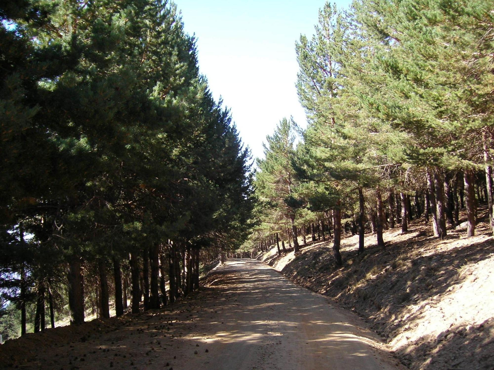 Hostal Rural Poqueira Capileira Eksteriør bilde